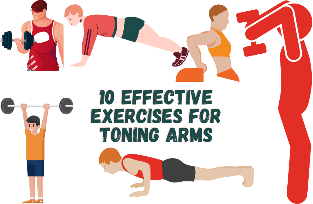 an illustration of a 10 Effective Exercises for Toning Arms