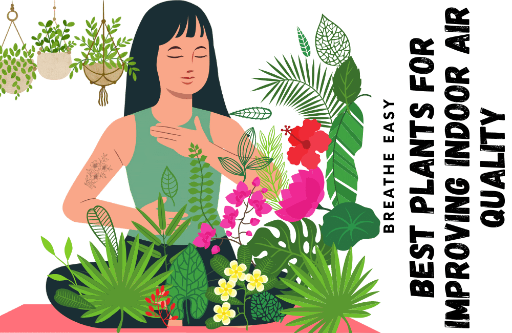an illustration of a girl enjoying a Best Plants for Improving Indoor Air Quality?