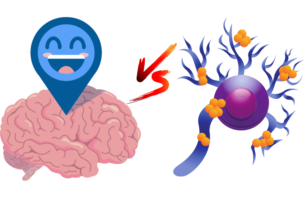 an illustration of Dopamine vs Serotonin.