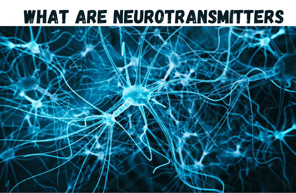 an illustration of a neurotransmitters